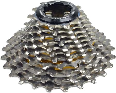 Amazon.com: SRAM X01 Eagle XG-1295 Cassette - 12-Speed, 10-52t